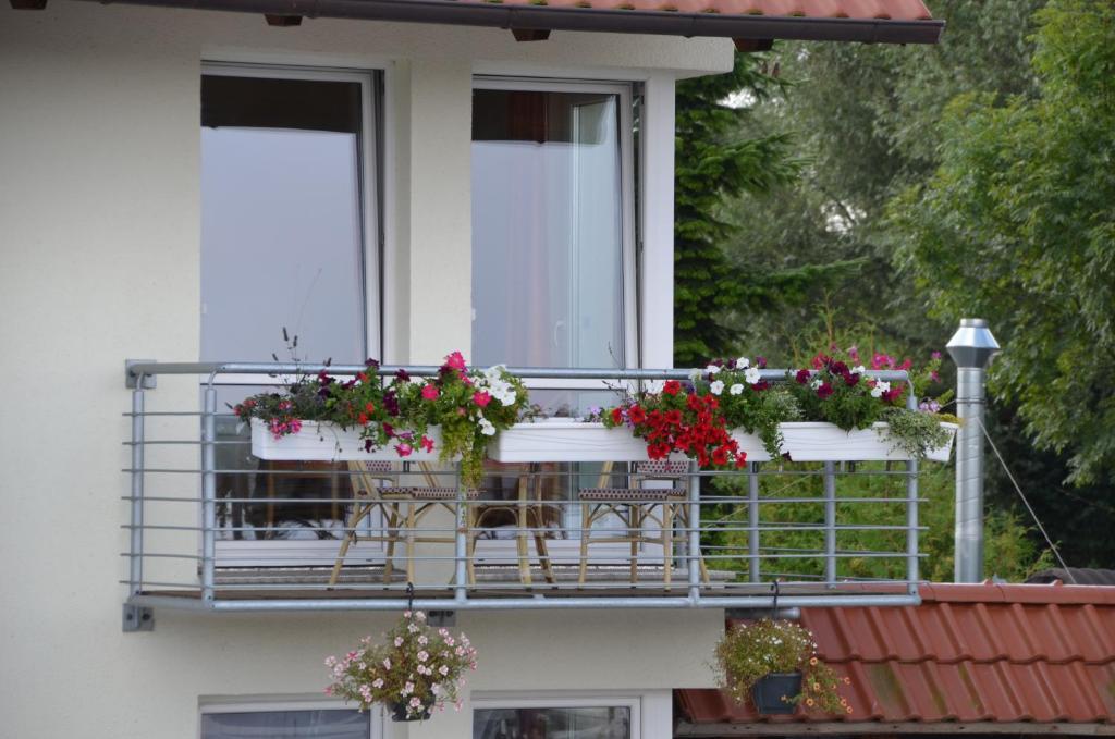 Hotel Zur Bruecke Greifswald Exteriör bild